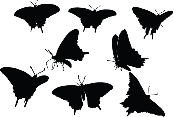 Schmetterling Silhouette Kollektion — Stockvektor