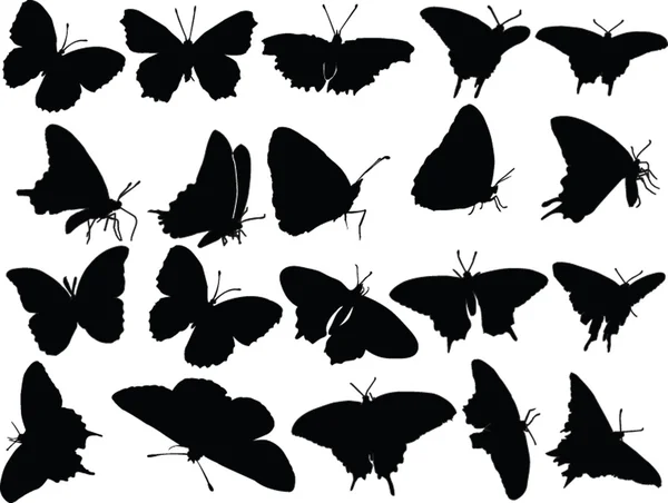 Метелик силует колекції — стоковий вектор