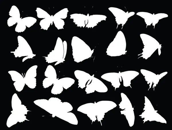 Vlinder vormgeving collectie — Stockvector