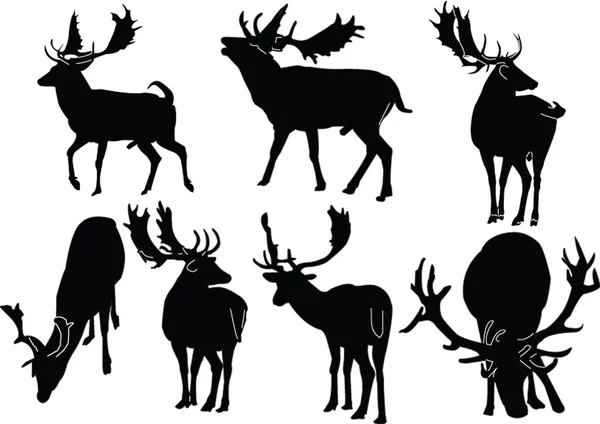 Deer collection — Stock Vector