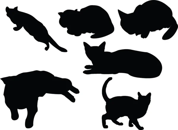 Συλλογή γάτες — Διανυσματικό Αρχείο