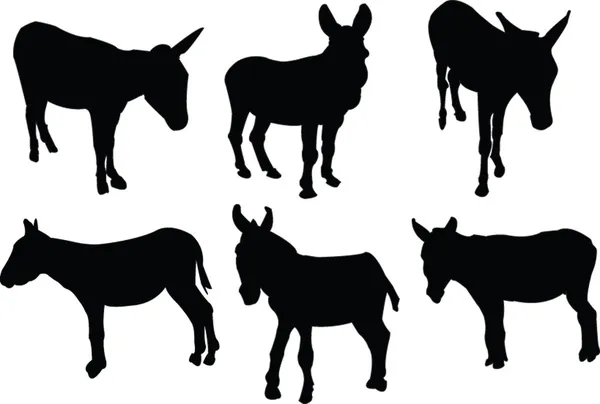 Donkeys collection — Stock Vector