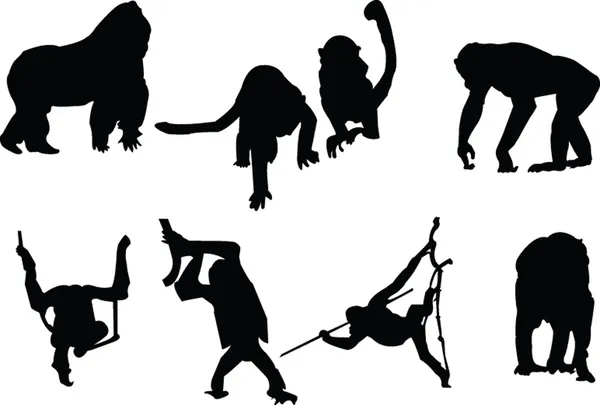 Monkey silhouette collection — Stock Vector