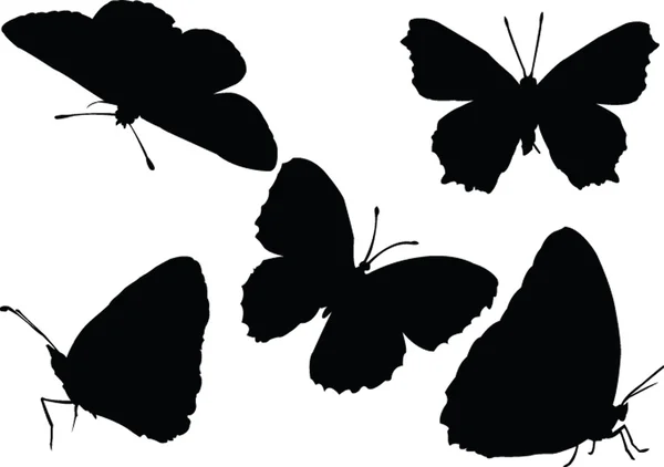 Collezione Butterfly — Vettoriale Stock