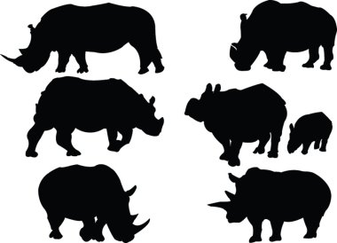 Rhinoceros collection clipart