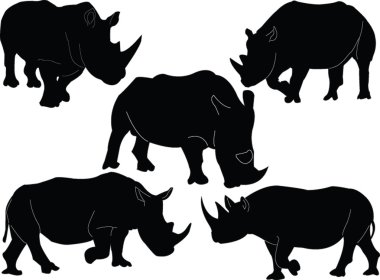 Rhinoceros illustration collection clipart