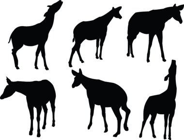 Ocapi silhouettes clipart