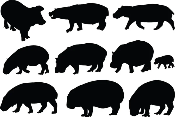 Collection Hippopotames — Image vectorielle