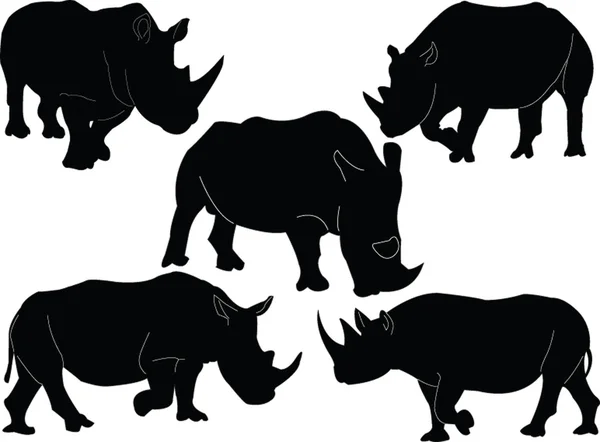 Nosorožec ilustrace kolekce — Stockový vektor