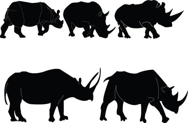 Collezione illustrazione rinoceronte — Vettoriale Stock