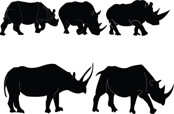Coleção de ilustração de rinoceronte — Vetor de Stock