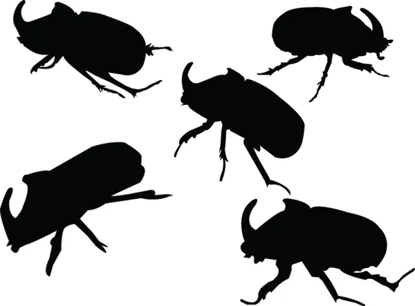 Beetle-rhinoceros collection — Stock vektor
