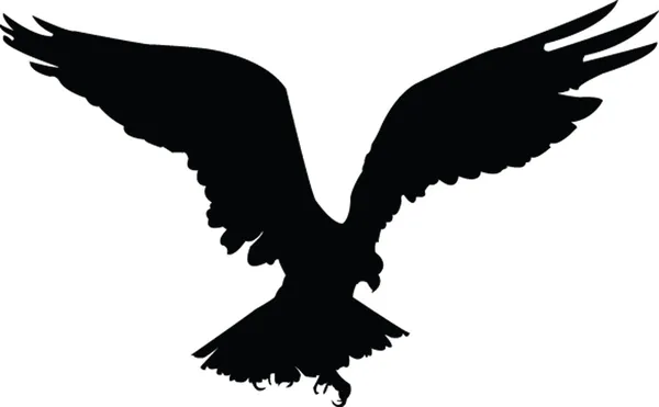 Silhueta de águia —  Vetores de Stock