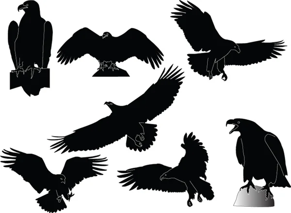 Eagles samling — Stock vektor