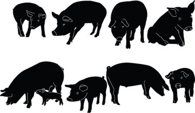 Pigs collection silhouette clipart