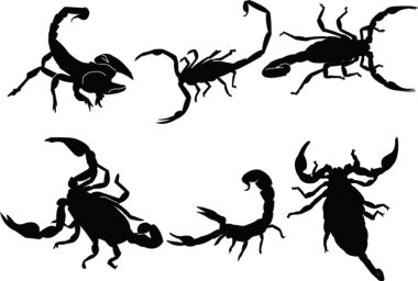 Scorpions collection clipart