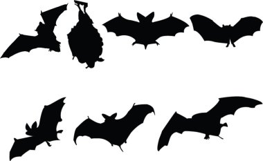 Bats illustration collection clipart