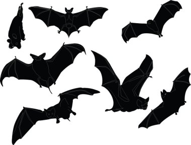 Bats illustration collection clipart