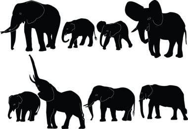 Elephant collection clipart