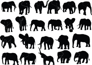 Elephant collection clipart