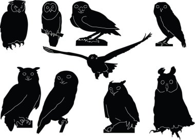 Owls collection clipart