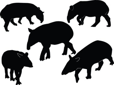 Tapirs collection clipart