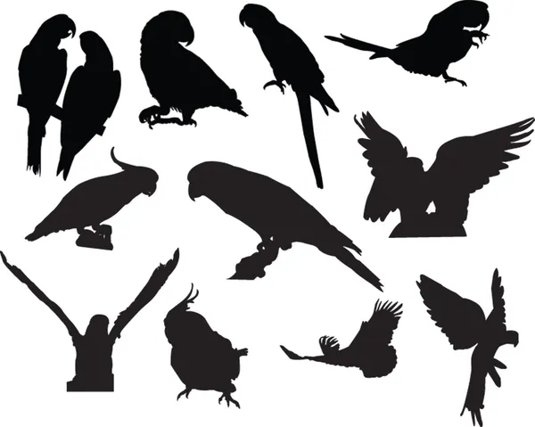 Parrots collection — Stock Vector