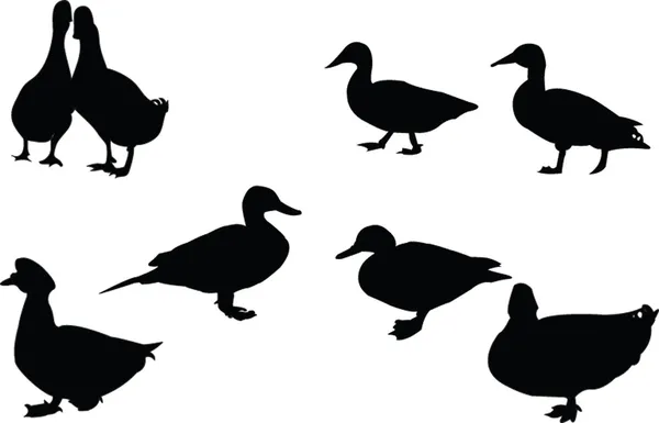 Ducks silhouette collection — Stock Vector