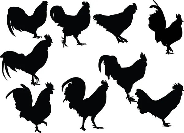 Colección de gallos — Vector de stock