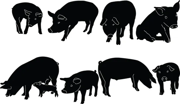 Pigs collection silhouette — Stock Vector