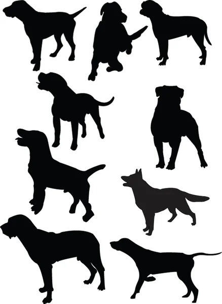 Colección de perros — Archivo Imágenes Vectoriales