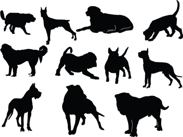 Dogs collection — Stock Vector