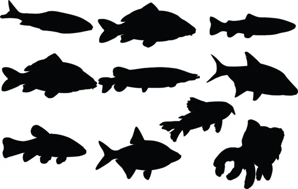 Fishes collection — Stock Vector