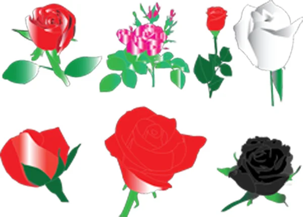 stock vector Roses collection