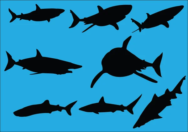 Colecção de tubarões — Vetor de Stock