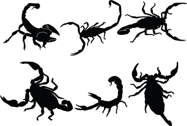 Scorpions collection — Stock Vector