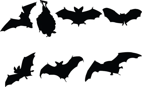 Morcegos ilustração coleção — Vetor de Stock
