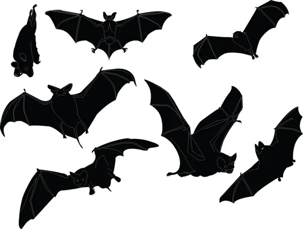 Colección de ilustración murciélagos — Vector de stock