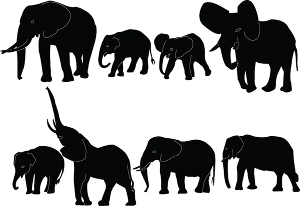 Colección de elefantes — Vector de stock