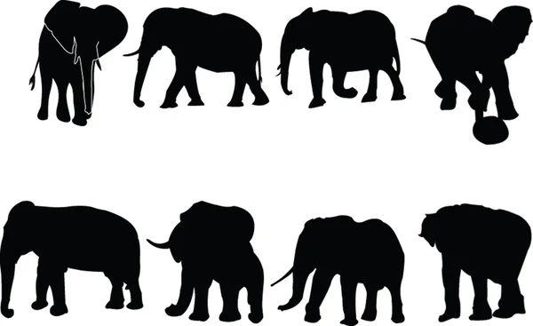 象のコレクション — ストックベクタ