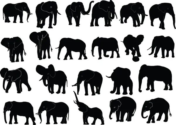 Elephant collection — Stock Vector