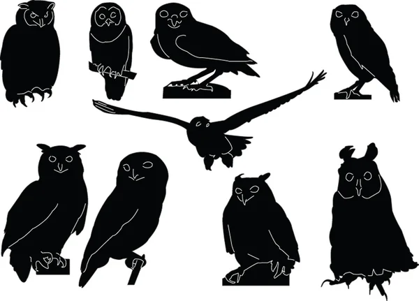 Owls collection — Stock Vector