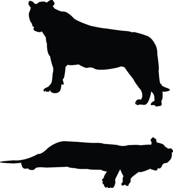 Collezione Tigri silhouette — Vettoriale Stock