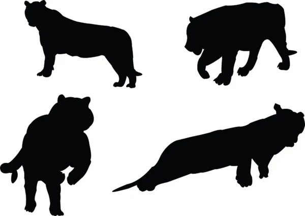 Tigers collection silhouette — Stock Vector