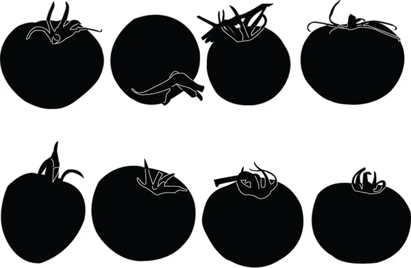 คอลเลกชันมะเขือเทศ — ภาพเวกเตอร์สต็อก