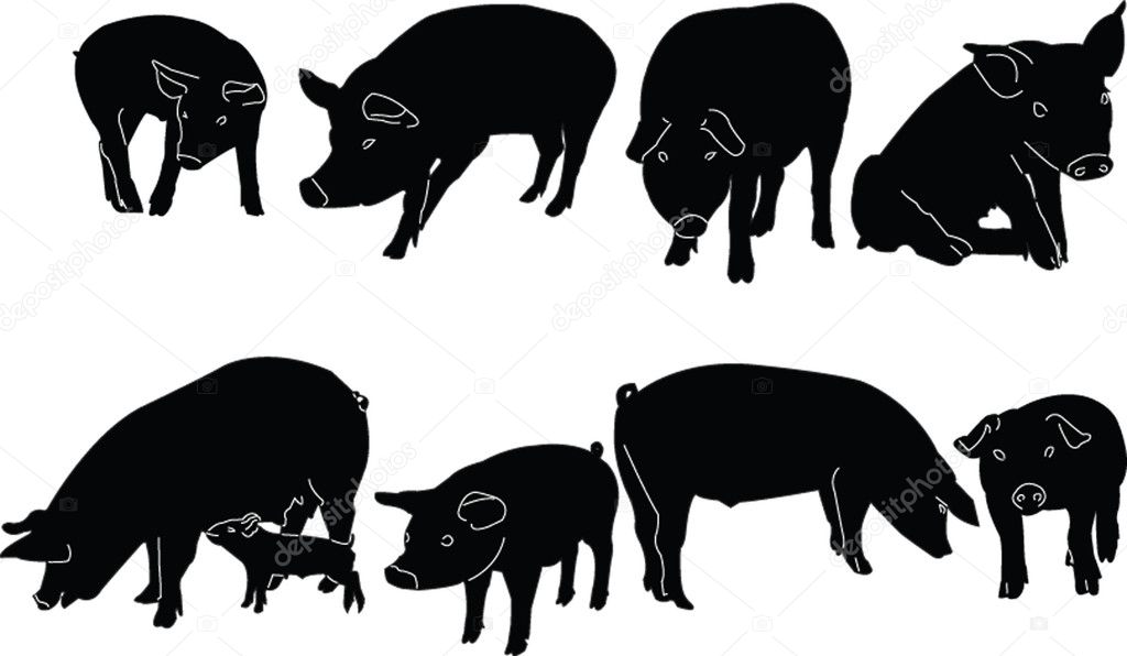 Pigs collection silhouette