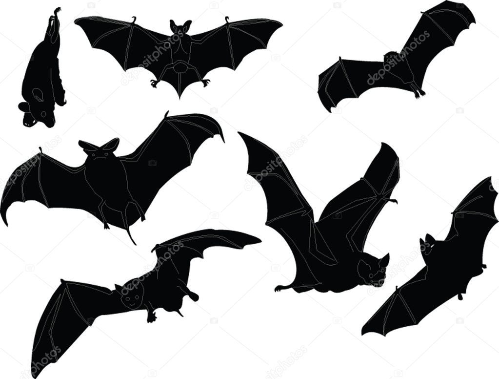 Bats illustration collection