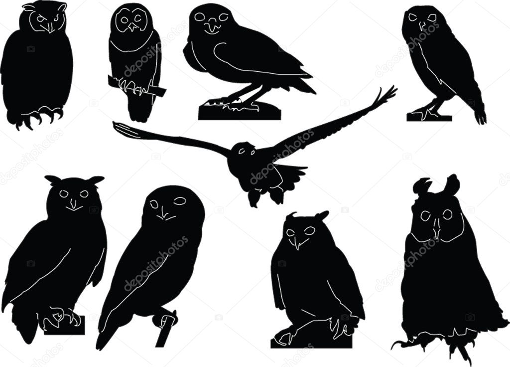 Owls collection