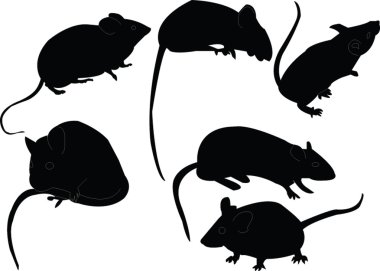 Mouse collection clipart