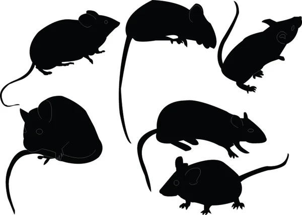 stock vector Mouse collection